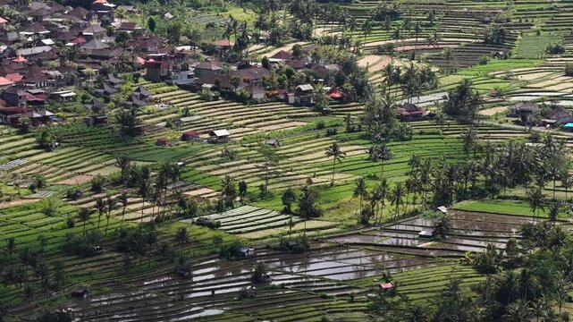 Oblique aerial view of terraced rice paddies on Mount Agung foothills with water-filled stepped fields and scattered village houses, with rice, terrace, paddy, foothill detail