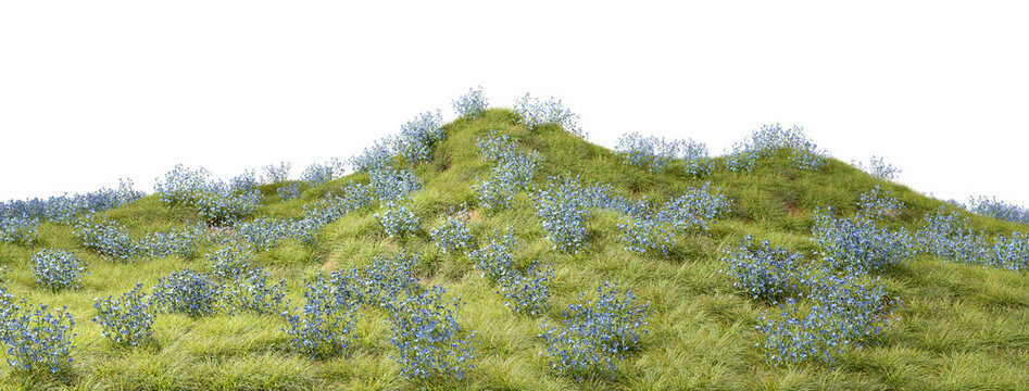Blue flowers fields cut out transparent backgrounds 3d illustrations png