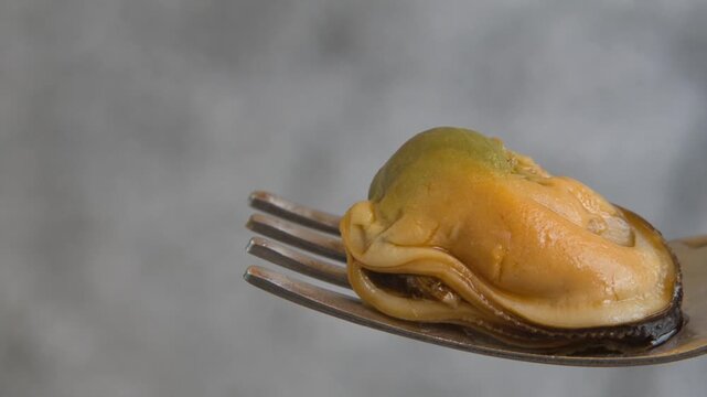 Close-up of a mussel on a fork&mdash;healthy food.