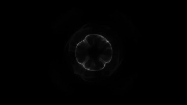 Cinematic white circular energy shockwave overlay on black background.
