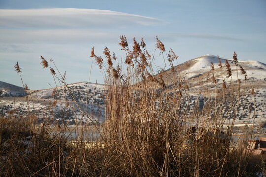 Winter Landscape at Lake Sevan with Reeds and Snow-Covered Mountains, Armenia