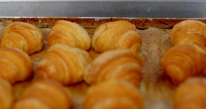 close-up of golden croissants in neat rows on parchment-lined bakery tray, warm oven light highlights crisp flaky texture and subtle focus shift