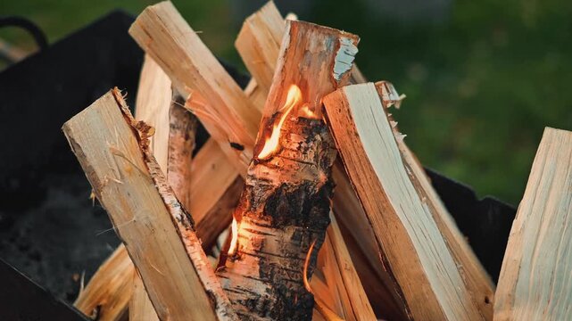 A hand is seen striking a match to light kindling and logs in a campfire pit. The flames begin to rise as the wood ignites, showing an outdoor setting with green grass
