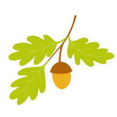Oak Branch with Green Leaves and Acorn © Oksana