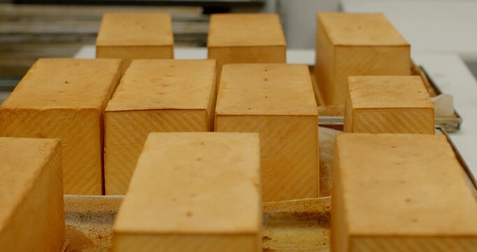 close-up low-angle view of multiple rectangular bread loaves arranged in neat rows on metal trays inside bakery production environment, showing uniform pale, with
