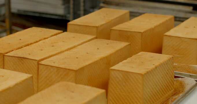 low-angle motion shot of multiple rectangular loaves cooling on metal trays and wire racks inside commercial bakery, loaves are fully baked and uncut with smooth