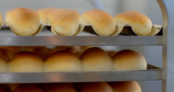 rows of golden-brown bread rolls resting in scalloped metal trays on multi-shelf stainless steel bakery rack, soft diffused side lighting creates gentle highlights