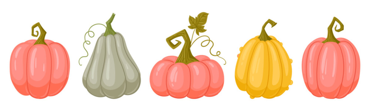 Halloween pumpkin collection. Cartoon assorted pumpkins with curling stems flat vector illustration set. Colorful autumn harvest graphics isolated on white background