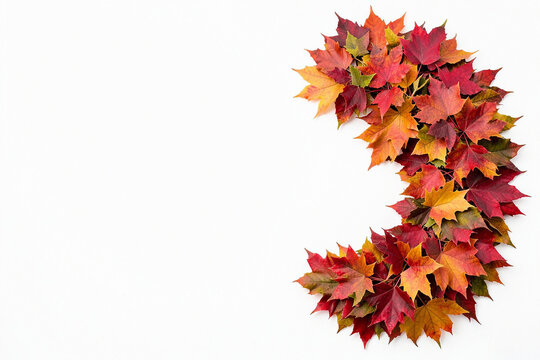 Crescent shape arrangement of colorful autumn maple leaves isolated on white background