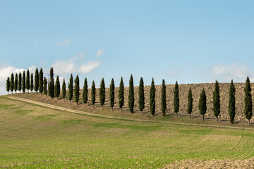 Obraz premium Panorama of the Val d'Orcia