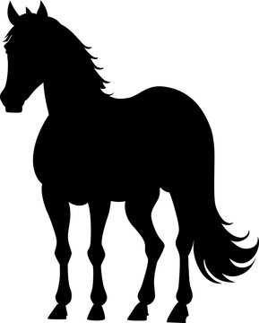 horse silhouette vector