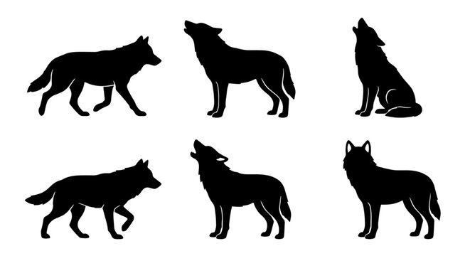 Wolf Silhouettes Collection, Howling and Walking Animal Icons, Wild Canine Vector Graphics