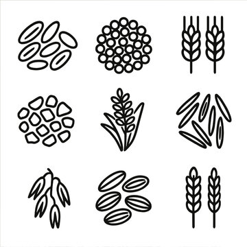 Whole grain oats rice bulgur icon brown farro icons wild quinoa vector