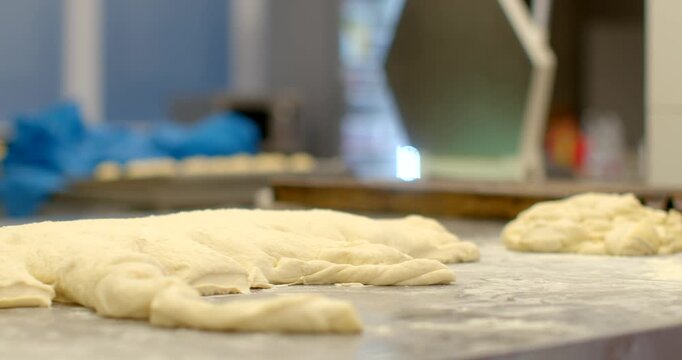 raw dough portions arranged on heavily floured stainless work surface in commercial bakery while baker's forearm and hand shape or place pieces at right edge, with