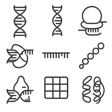 Sequence icon molecule amino molecular rna enzyme biology dna vector icons gene