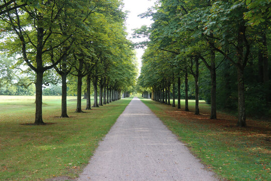 Fu&szlig;- und Radweg durch eine lange Allee in einem Park