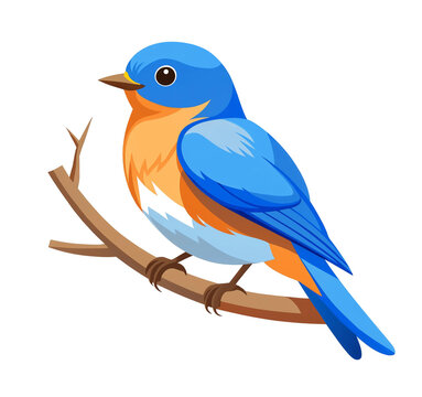 bird on a branch illustration 
