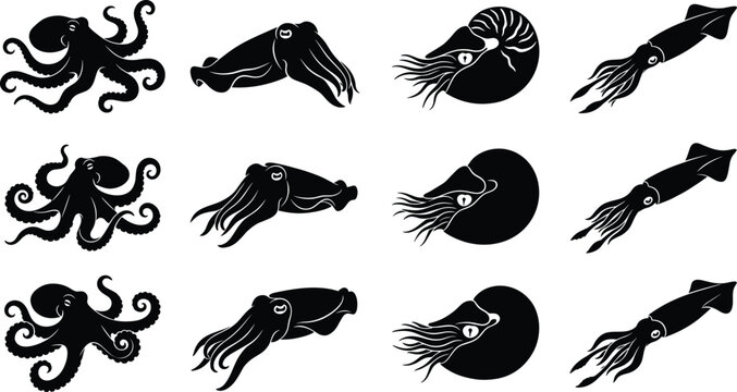 Set of black silhouette marine cephalopod icons featuring octopus, cuttlefish, nautilus, and squid isolated on white background.
