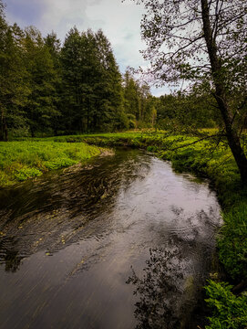  Peaceful wild river running along vibrant green meadows and forest trees