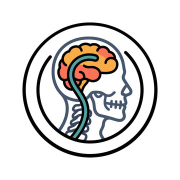 Hydrocephalus Shunt Tube X-Ray Icon for Neurosurgery