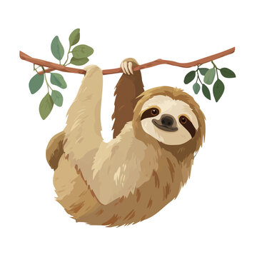 Sloth &mdash; flat 2D vector artwork created in a clean, modern, and minimal style on white background.