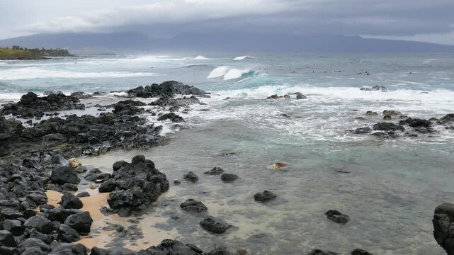 View from Ho'okipa Lookout at people surfing the waves of Hookipa Beach on the north shores of Maui, Hawaii.  With black volcanic rocks.