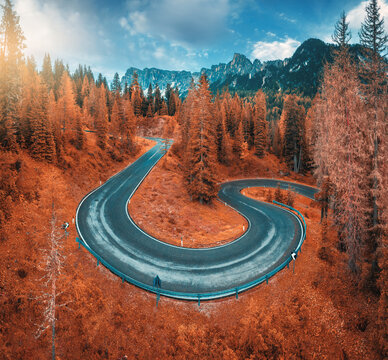 Aerial view of winding mountain road in forest at sunset in autumn. Alps, Italy. Curved alpine road, snowy rocks, trees, red leaves, dramatic cloudy sky with clouds. Colorful. Top view of road in fall