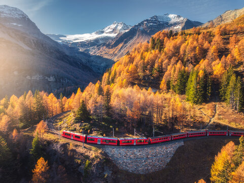 Aerial view of red Bernina Express train passing through colorful autumn forest in the Swiss Alps with high mountains, glacier, curved railway on a scenic sunny day. Top drone view of train in fall