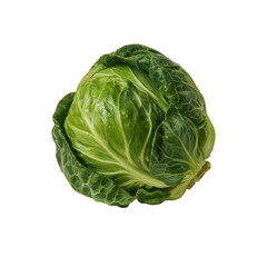 Obraz premium Single Brussels sprout on a white background showing its round shape and green leaves