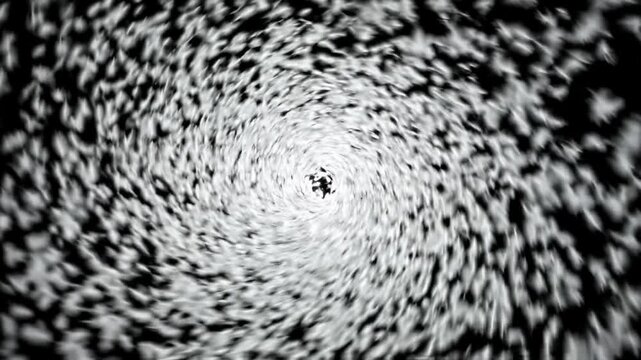 Abstract Black and White Feathers Swirling Particles Tunnel