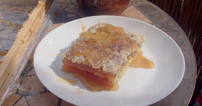 honeycomb segment on white ceramic plate as honey pours in glossy amber pools and thin drips, with honeycomb, honey, comb, wax detail, showing amber, golden, glossy