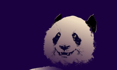 Stylised vector illustration of a giant panda on a deep purple background © Beautiful talkers