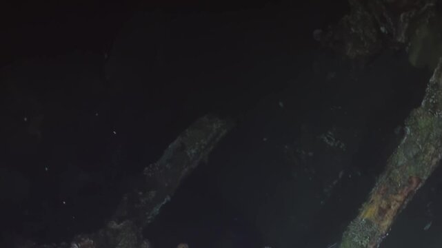 An elusive octopus masters camouflage, expertly blending into the rusted, coral-covered metal of a deep sea shipwreck. Observed at night, its secretive presence adds magic to the dark ocean depths.