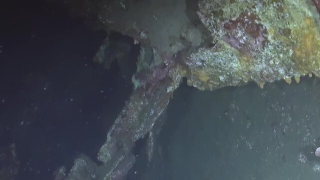 An underwater explorer glides past a massive shipwreck, its ancient metal a canvas for vibrant coral. Dark waters conceal deep crevices and untold stories, illuminated by dive lights.