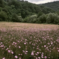 Fototapeta premium Hungarian meadow along wooded valley with blooming flowers