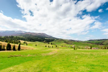 panoramic view of countryside of Ukraine. sunny day. wonderful springtime landscape in Carpathian mountains. grassy field and rolling hills. beautiful rural scenery © Pellinni