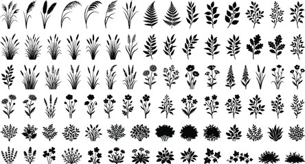 Fototapeta premium Botanical Leaf Plant and Floral Silhouettes Collection for Decorative Design