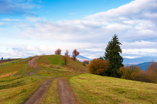 winding rural dirt path through hill. rolling countryside of ukraine in fall color. cloudy morning sky. carpathian mountains in autumn