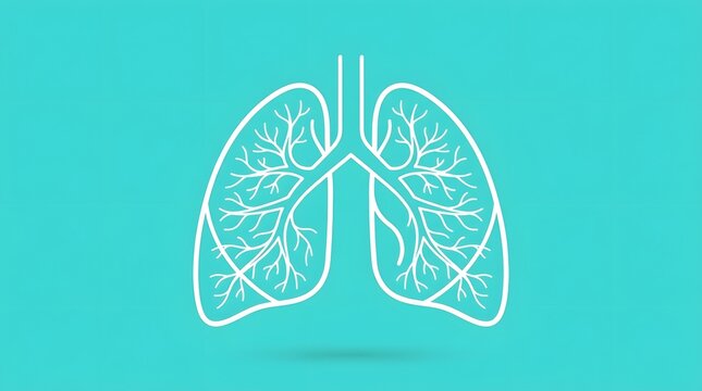Blue of lungs with bronchial tubes, isolated airways
