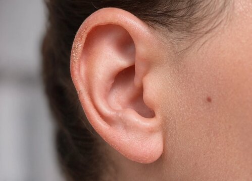 Close up macro detail of a human ear showing texture and skin detail with hair