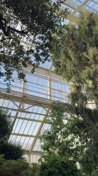 Beautiful interior of Berlin botanical garden glass greenhouse with huge collection of plants growing inside low angle view