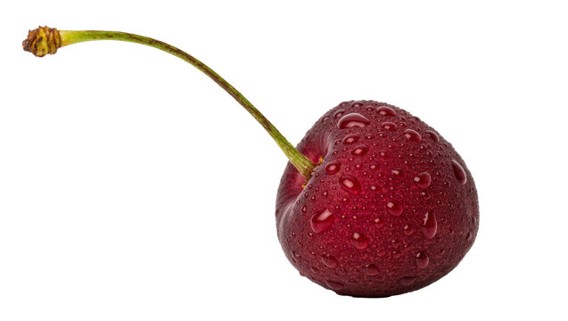 Single ripe cherry with water droplets and stem, isolated on transparent background