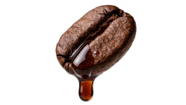 Dark roasted coffee bean with a drop of liquid coffee, isolated on transparent background