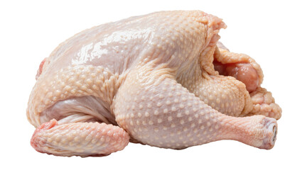 Whole raw chicken with visible skin texture, isolated on transparent background © Miguel