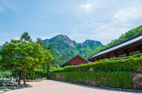 SOKCHO, SOUTH KOREA &ndash; MAY 10, 2026: Traditional wooden buildings of Sinheungsa Buddhist temple with scenic rocky peaks of Seoraksan Mountain under a blue sky.
