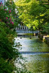 Obraz premium bridge over the river in kyoto japan in lush summer weather and greenery