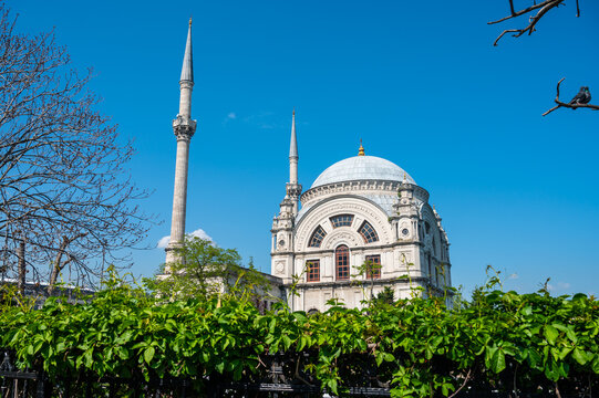 Beautiful mosque in daylight, surrounded by greenery and clear sky