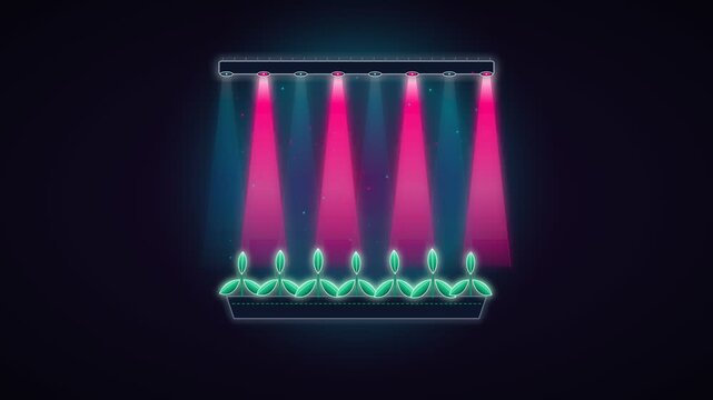 Futuristic indoor farming icon with glowing neon lights over growing plants