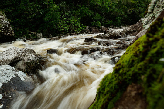 O rio da Vida