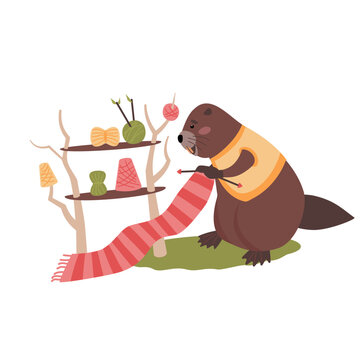 Cute beaver wearing a vest knits a long striped scarf next to shelves with yarn. Vector isolated illustration for handmade craft, knitting hobby, and seasonal designs.